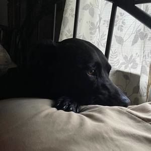 Meet your Posher, Vickie